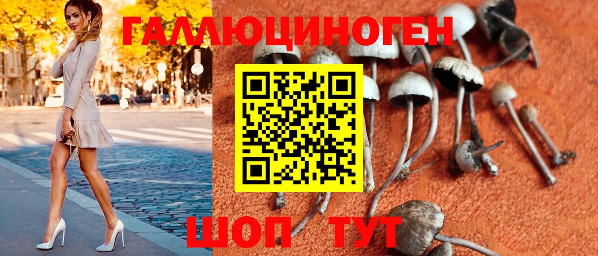 Псилоцибиновые грибы Psilocybe  Вход с VPN  Воронеж  Псилоцибиновые грибы Psilocybine cubensis 