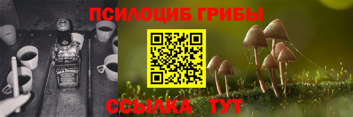 Псилоцибиновые грибы GOLDEN TEACHER Воронеж